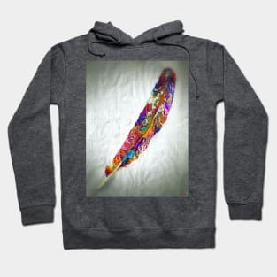 Colorful Feather Hoodie